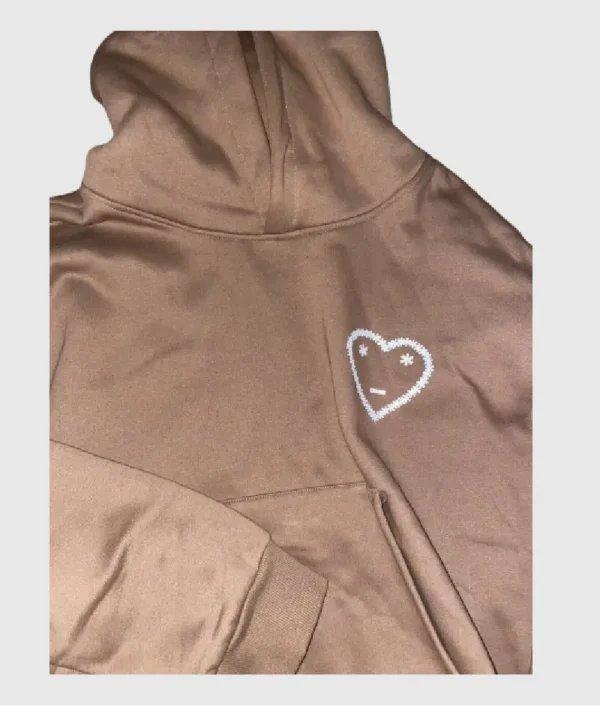 Carsicko Brown Hoodie